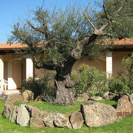Farm stay Turismo Rurale Su Cuile *