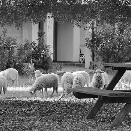 Farm stay Turismo Rurale Su Cuile Dorgali