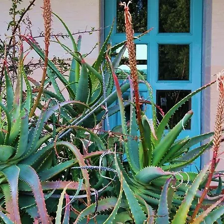 Turismo Rurale Su Cuile Farm stay *