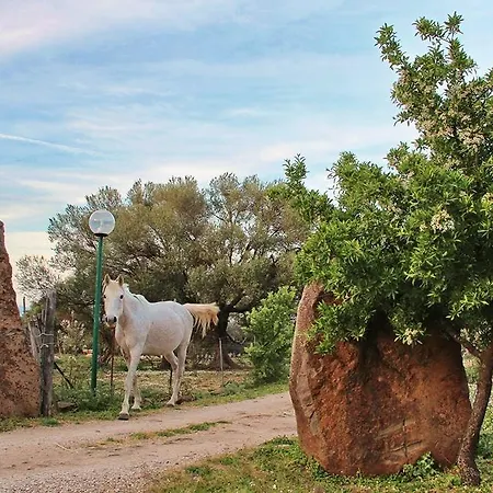 Turismo Rurale Su Cuile Farm stay Dorgali