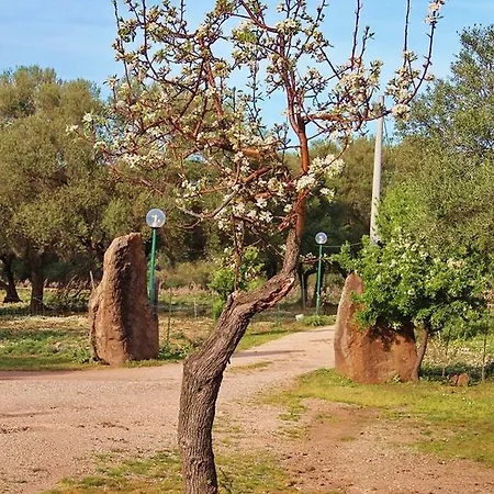 Turismo Rurale Su Cuile Dorgali